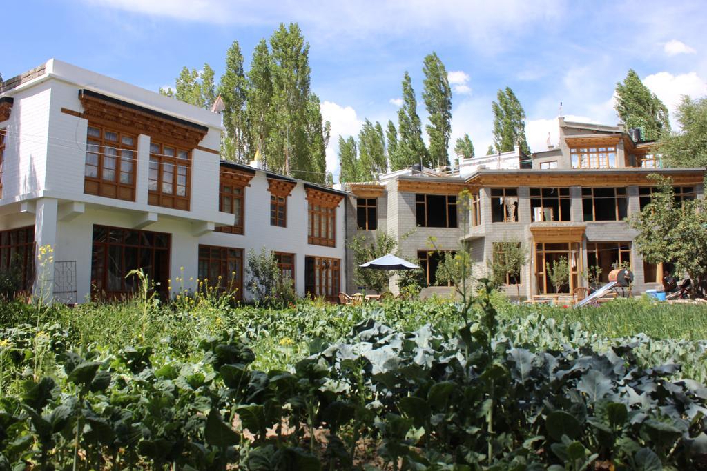Jimmy'S Homestay Léh Exteriér fotografie