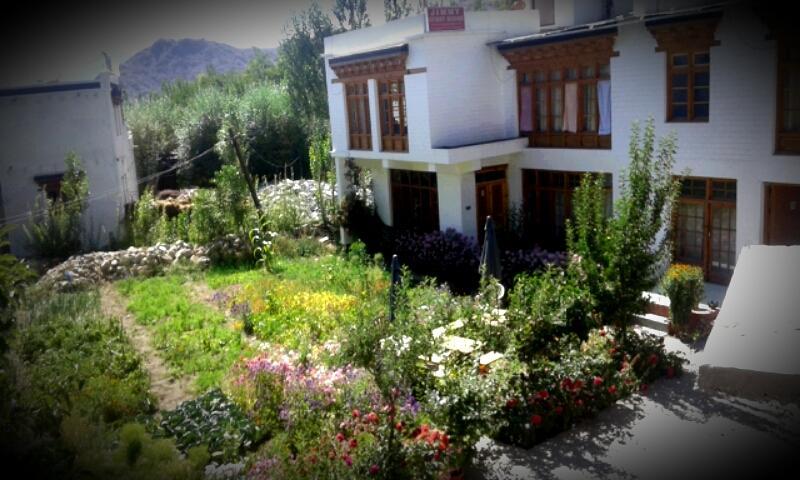 Jimmy'S Homestay Léh Exteriér fotografie