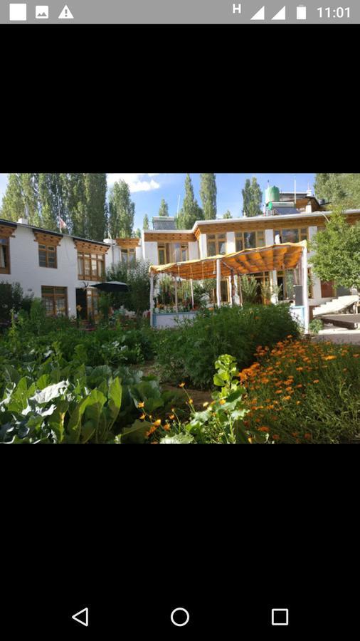 Jimmy'S Homestay Léh Exteriér fotografie