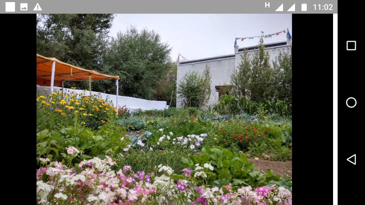 Jimmy'S Homestay Léh Exteriér fotografie